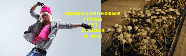 СК Лихославль