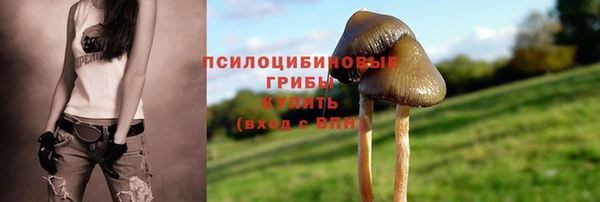 jwh Ладушкин