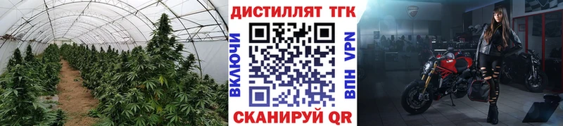 купить закладку Лесозаводск Дистиллят ТГК Wax