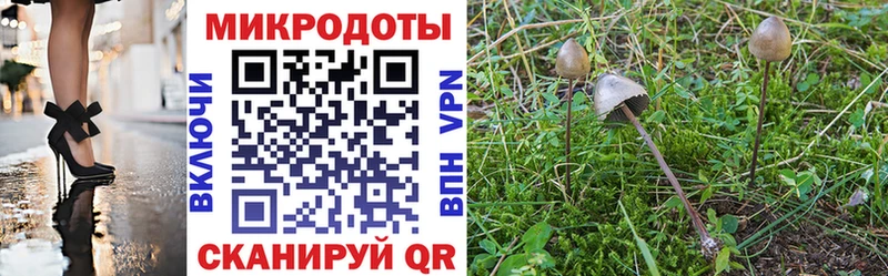 цена   Лесозаводск  Галлюциногенные грибы GOLDEN TEACHER 