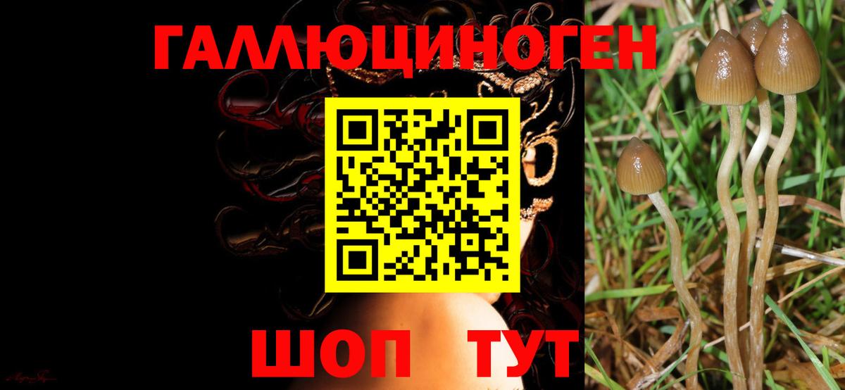 Галлюциногенные грибы Magic Shrooms  Вход с VPN  Лесозаводск 